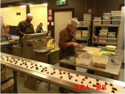 探索海外就業(yè)機(jī)遇 常州赴德國(guó)勞務(wù)與挪威清真食品廠招聘解析